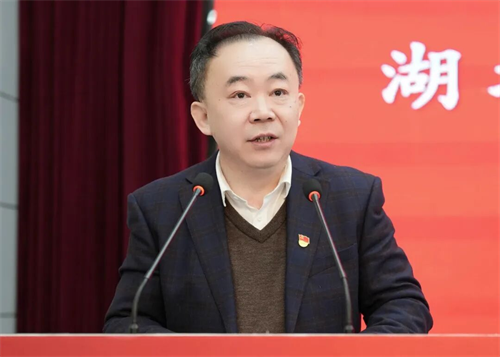 湖北省党的建设研究会民办高校专委会2025年年会召开(图2)