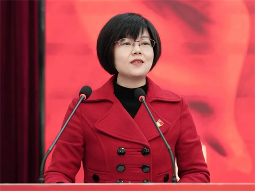 湖北省党的建设研究会民办高校专委会2025年年会召开(图12)