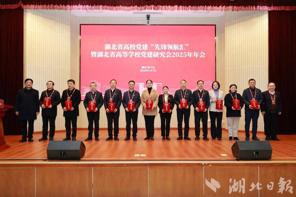 湖北省高等学校党建研究会2025年年会召开(图3)