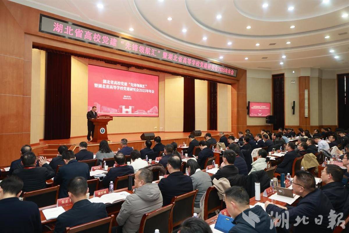 湖北省高等学校党建研究会2025年年会召开(图4)